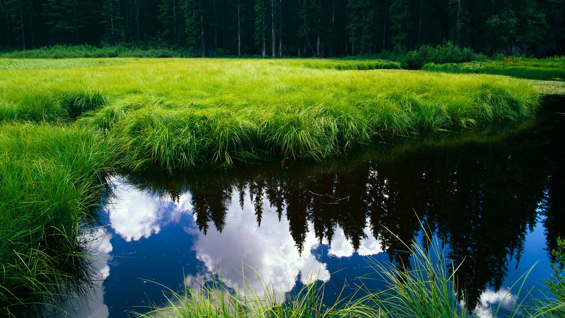 开云中国大陆-“荒野追逐：穿越山谷与沙漠的极速之战”，荒野追踪电影剧情女主背叛