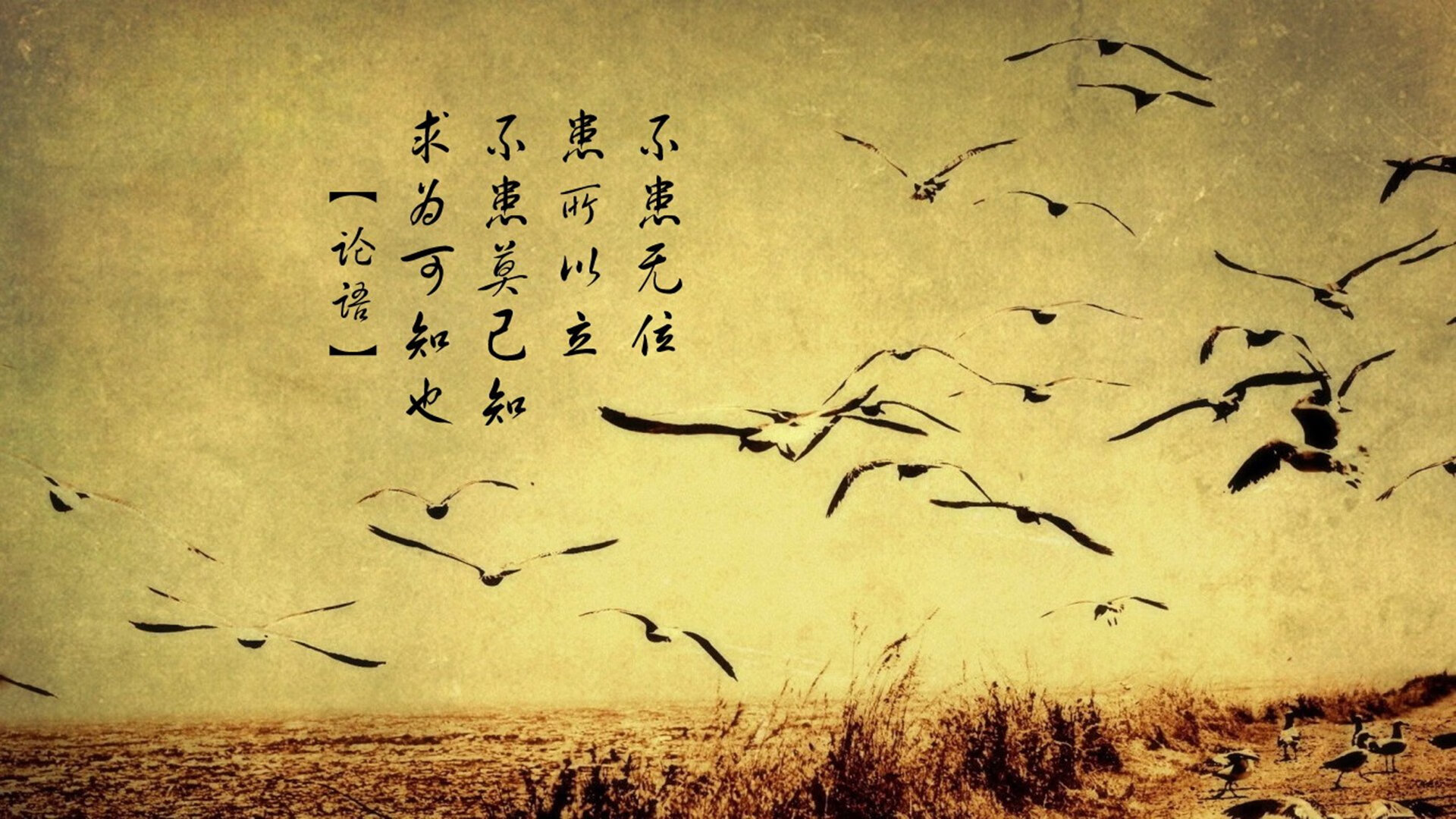 开云电子-“足球+旅游+文化”融合产业研究院在行业内建立示范作用，融合文旅集团有限公司