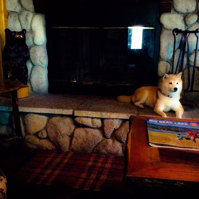 开云娱乐-中国青少年篮球行业标准体系全面升级，行业规范化迈出坚实步伐