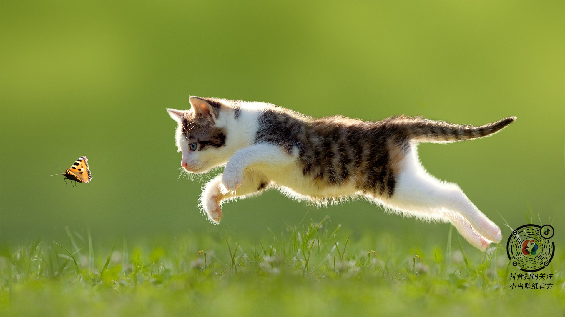 开云体育在线登入-区块链游戏探索：数字资产与全新模式，区块链通往数字资产化之路  第1张