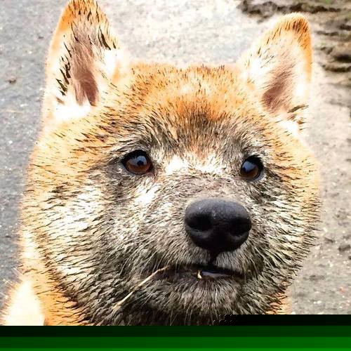 开云体育在线登入-区块链游戏探索：数字资产与全新模式，区块链通往数字资产化之路  第3张