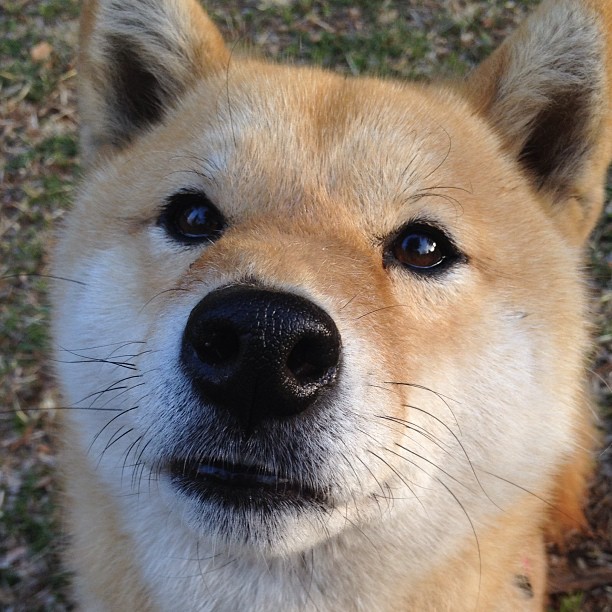 开云体育官方入口-在校园推广瑜伽,提升学生身心健康,在校园推广瑜伽,提升学生身心健康的方法 第1张 开云体育官方入口-在校园推广瑜伽,提升学生身心健康,在校园推广瑜伽,提升学生身心健康的方法 第1张