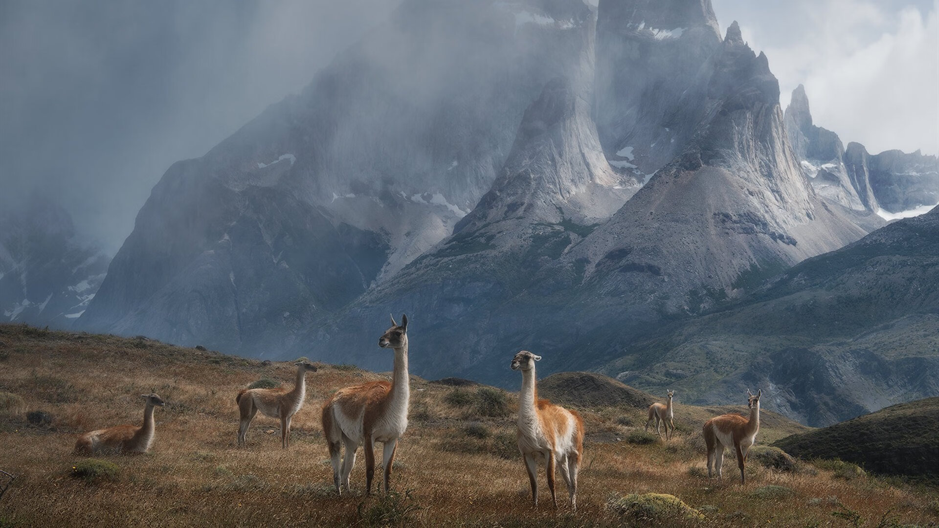开yun体育-德甲激烈,赛后教练讲述战术布置与核心战术成功要素,德甲技术特点