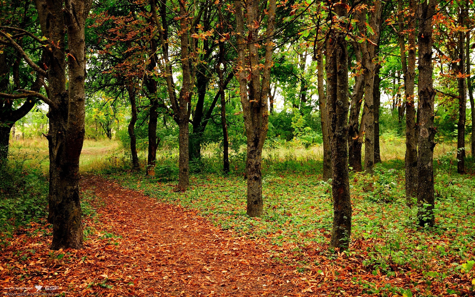 开云体育官方网入口-摩纳哥争冠形势愈发激烈，摩纳哥资料