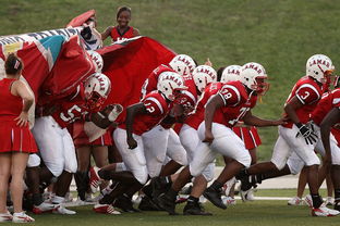 开云真人娱乐官网-体育新闻中心赛前状态追踪,体育新闻预告